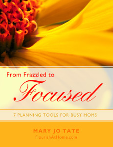 From Frazzled to Focused COVER