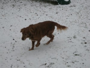 Jodie in the snow